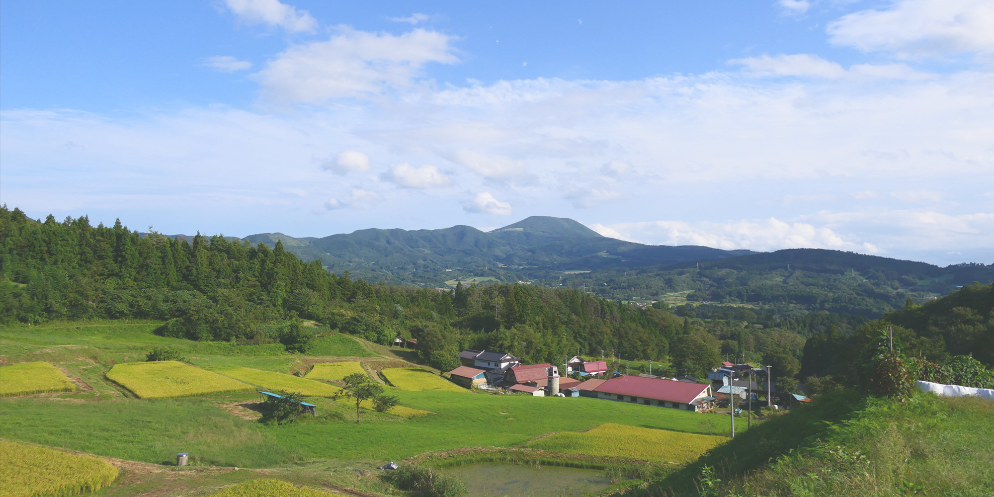 協同組合産直センターひがしやま